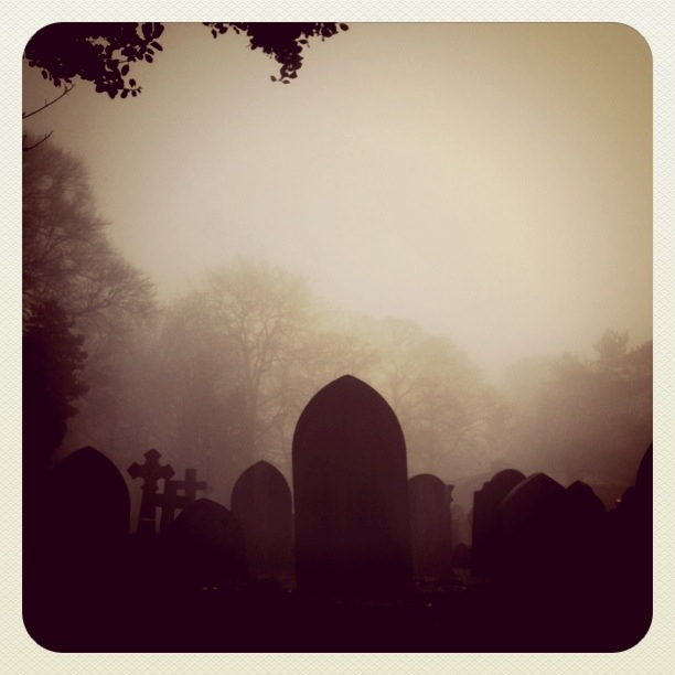 graveyard in the mist.jpg